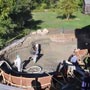 American Pool Service - Gunite Installation